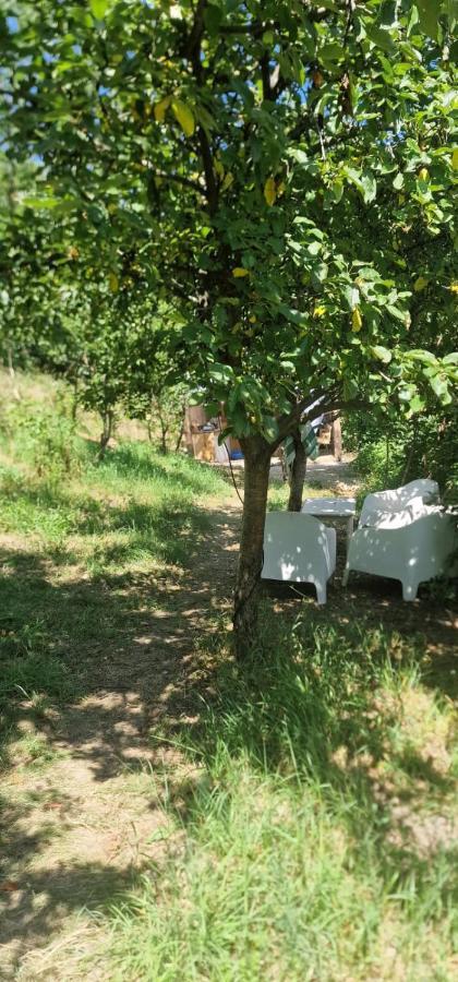 Vila Casageo Cheile Nerei Sokolar Exteriér fotografie