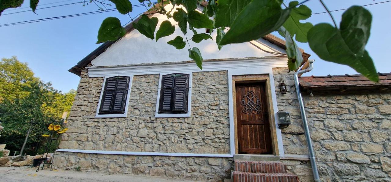 Vila Casageo Cheile Nerei Sokolar Exteriér fotografie
