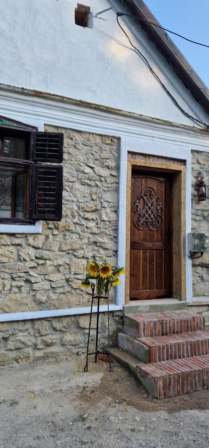 Vila Casageo Cheile Nerei Sokolar Exteriér fotografie