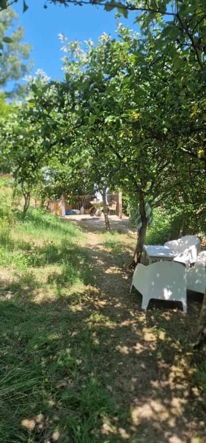 Vila Casageo Cheile Nerei Sokolar Exteriér fotografie