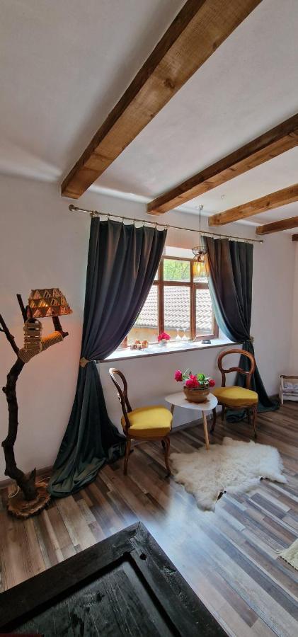 Vila Casageo Cheile Nerei Sokolar Exteriér fotografie