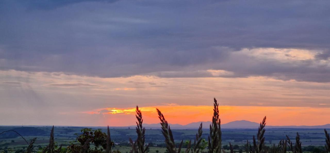 Vila Casageo Cheile Nerei Sokolar Exteriér fotografie