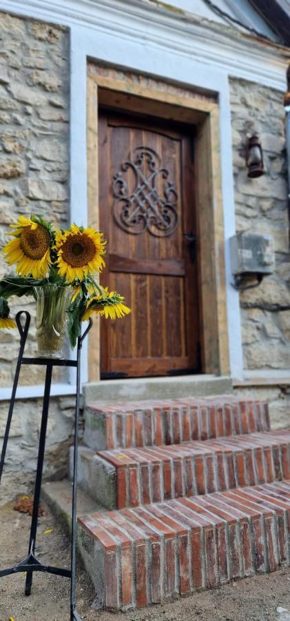 Vila Casageo Cheile Nerei Sokolar Exteriér fotografie
